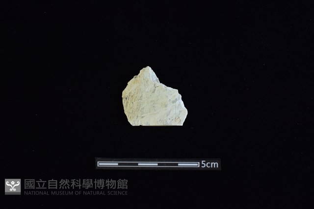 矛鏃形器藏品圖，第1張