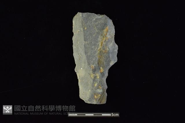 戈形器藏品圖，第1張