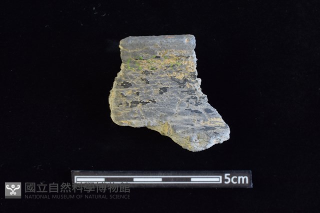 陶罐藏品圖，第1張