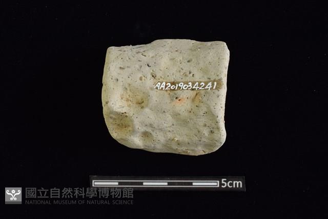 陶罐藏品圖，第2張