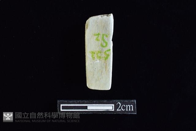 錛鑿形器藏品圖，第2張