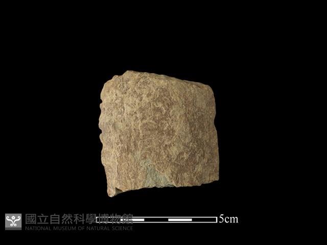 磨製有刃石器藏品圖，第1張