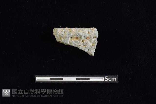 陶缽藏品圖，第1張