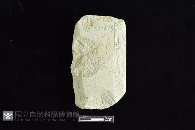 錛鑿形器藏品圖，第2張