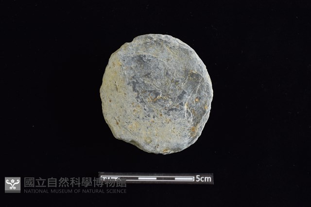 石圓片藏品圖，第1張