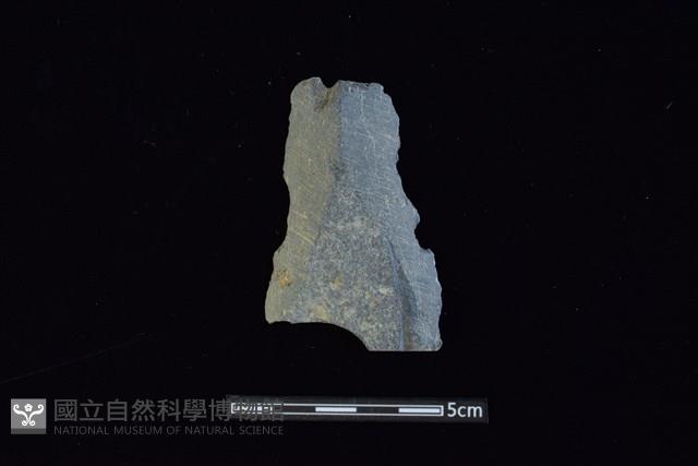 矛鏃形器藏品圖，第1張