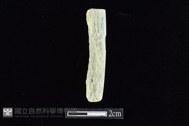 錛鑿形器藏品圖，第2張