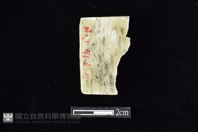 錛鑿形器藏品圖，第2張