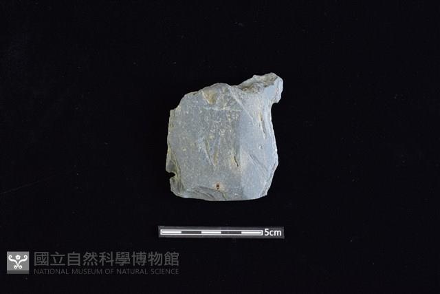 戈形器藏品圖，第1張