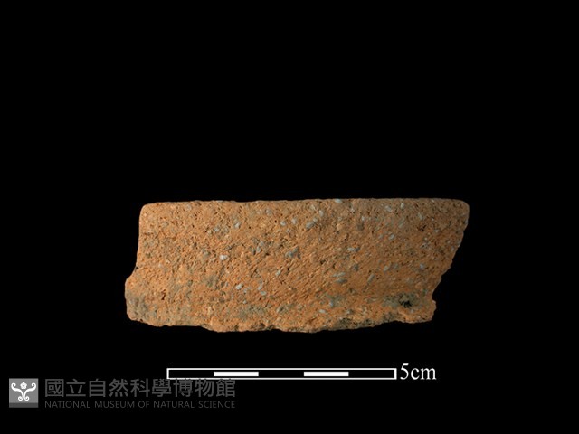 陶罐藏品圖，第1張