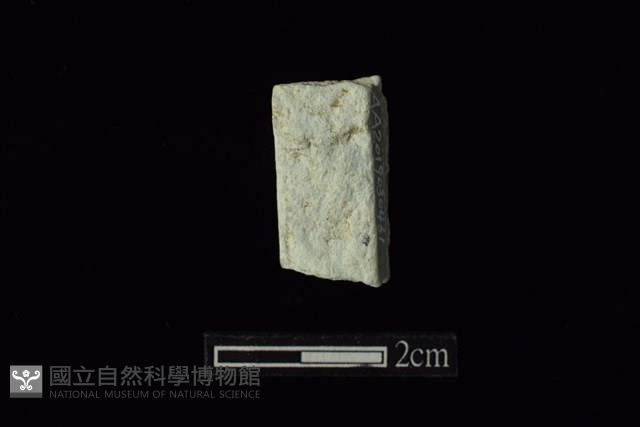 錛鑿形器藏品圖，第2張