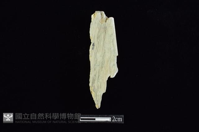 錛鑿形器藏品圖，第2張