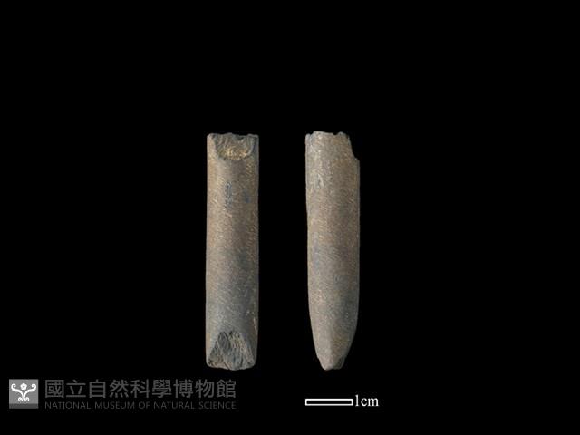 磨製石棒藏品圖，第1張