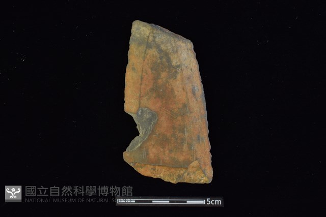 矛鏃形器藏品圖，第1張