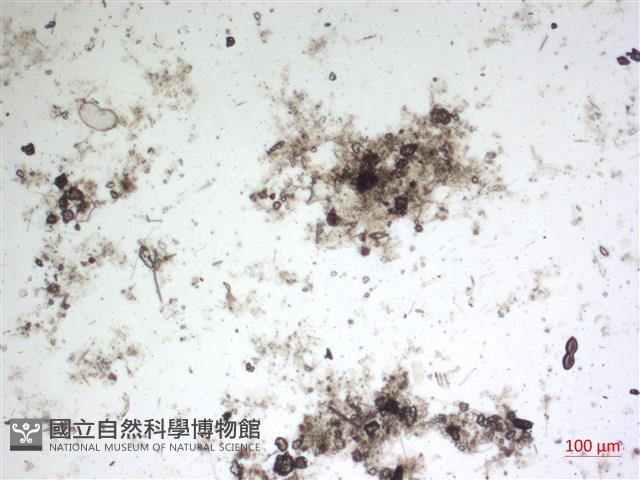 登錄號:A00004601藏品圖，第2張
