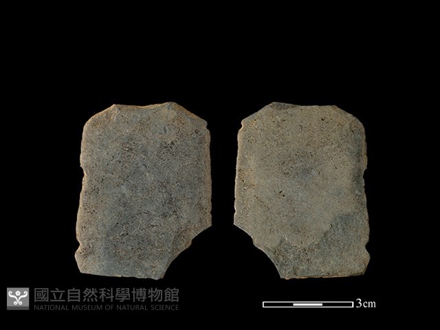 矛鏃形器藏品圖，第1張