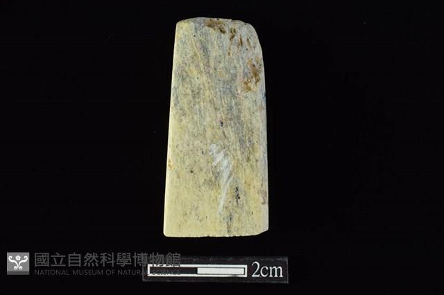 Accession Number:AA2019030001 Collection Image, Figure 2, Total 4 Figures