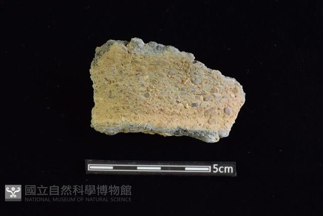 陶罐藏品圖，第1張