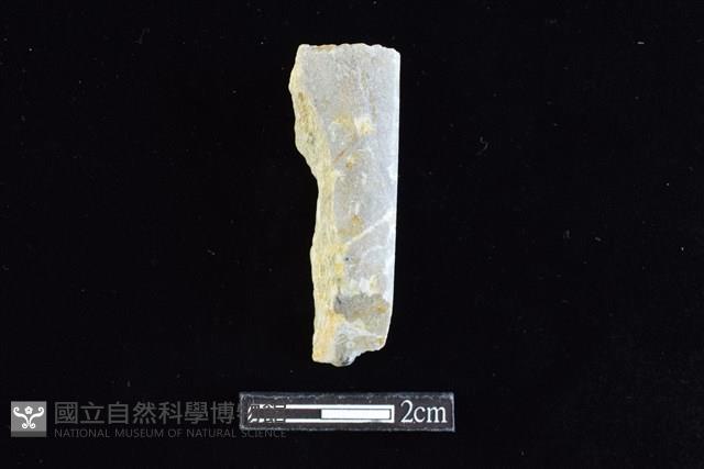 錛鑿形器藏品圖，第1張