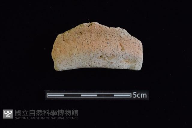 陶罐藏品圖，第1張