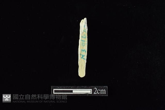 錛鑿形器藏品圖，第2張