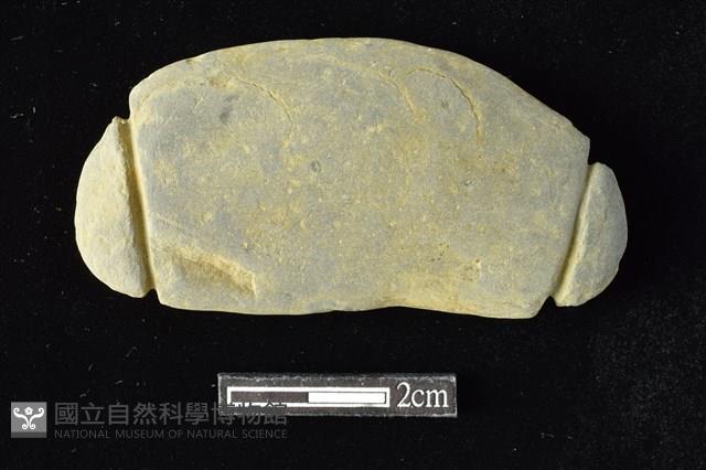 Accession Number:AA2019030701 Collection Image, Figure 1, Total 2 Figures