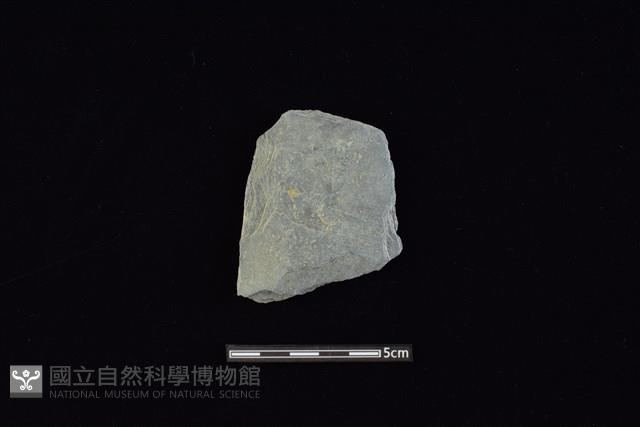 戈形器藏品圖，第1張