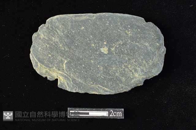 網墜藏品圖，第1張