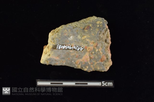 陶罐藏品圖，第2張