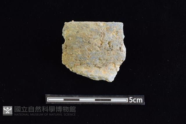 陶罐藏品圖，第1張