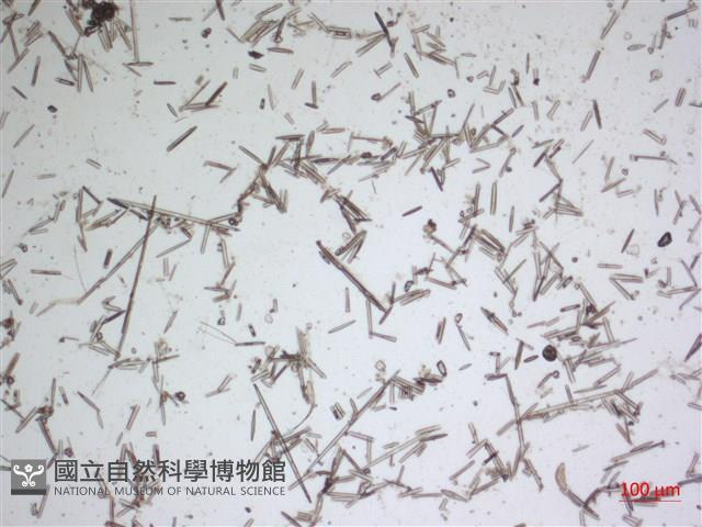 登錄號:A00004481藏品圖，第2張