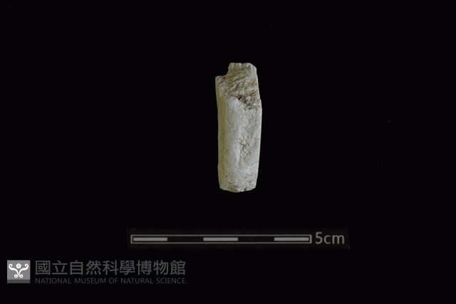 玉料藏品圖，第1張