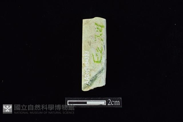 錛鑿形器藏品圖，第2張