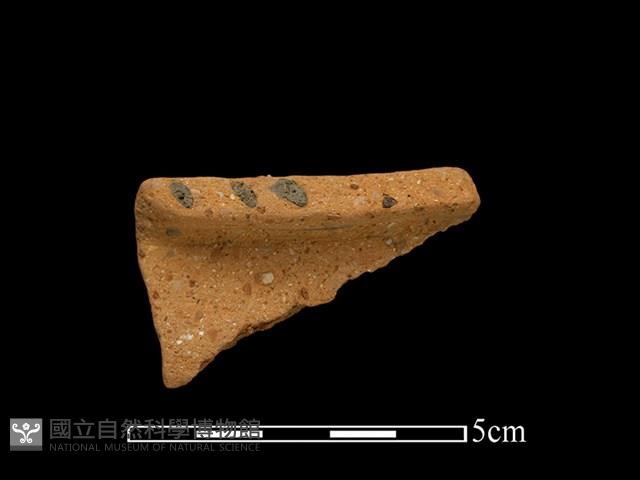 陶罐藏品圖，第1張