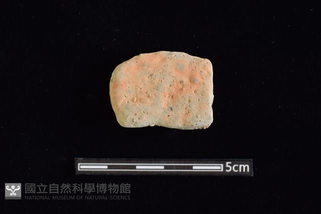 陶片藏品圖，第2張