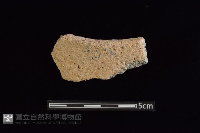 陶缽藏品圖，第1張