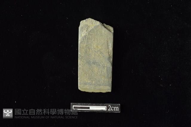 錛鑿形器藏品圖，第1張