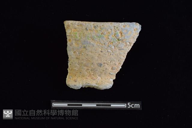 陶罐藏品圖，第1張