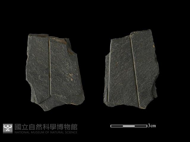 帶加工痕石材藏品圖，第1張