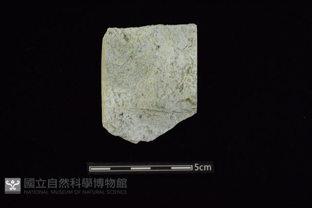 錛鑿形器藏品圖，第2張
