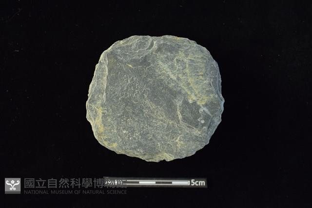 石圓片藏品圖，第1張