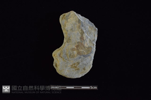 石器殘件藏品圖，第1張