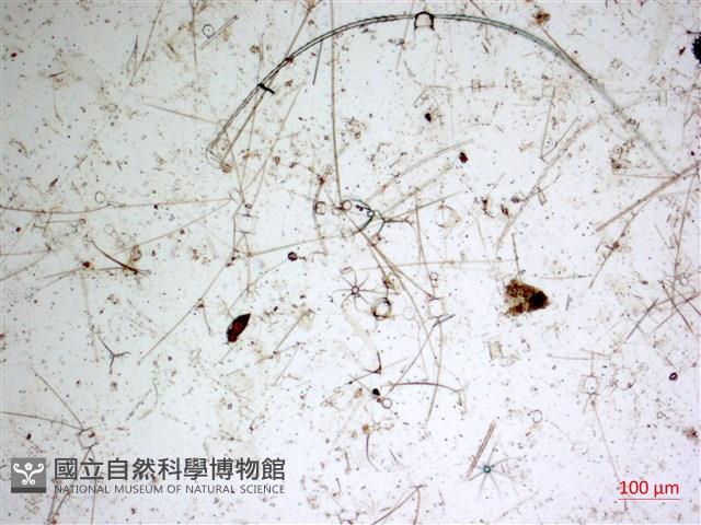 登錄號:A00004650藏品圖，第2張