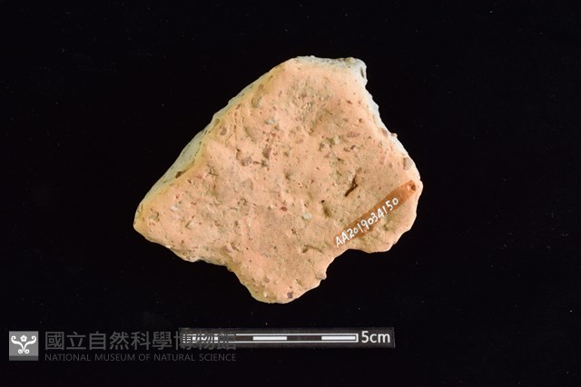 陶片藏品圖，第2張