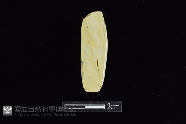 錛鑿形器藏品圖，第2張