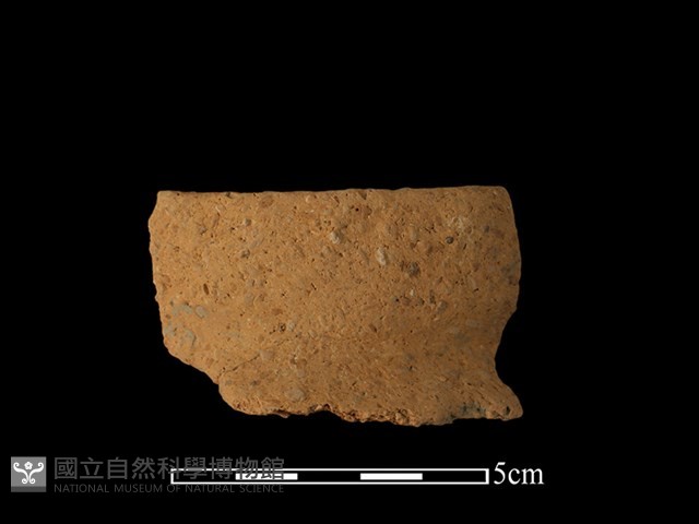 陶罐藏品圖，第1張