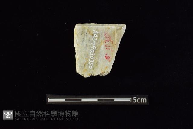 錛鑿形器藏品圖，第2張