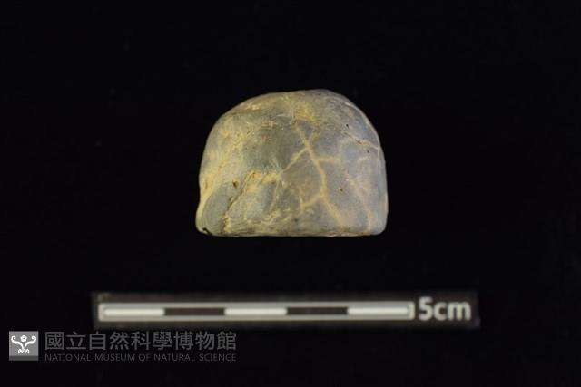 陶紡輪藏品圖，第1張