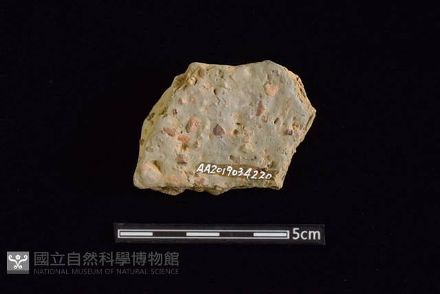 陶片藏品圖，第2張