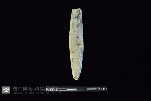 錛鑿形器藏品圖，第2張